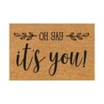 thumbnail image 1 of Waterproof Coir Mats Outdoor Door Mat Inside Summer Rug Outdoor Low-Profile Non-Slip Front Welcome Mat Perfect for Front Door and Entryway Outdoor and Indoor, 16x24 Inch OH yAy it's you!, 1 of 5