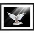 thumbnail image 2 of Art.com A Free Flying White Dove Isolated On A Black Background Art Print by Irochka, Black Frame Wall Art, 21" x 17", 2 of 5