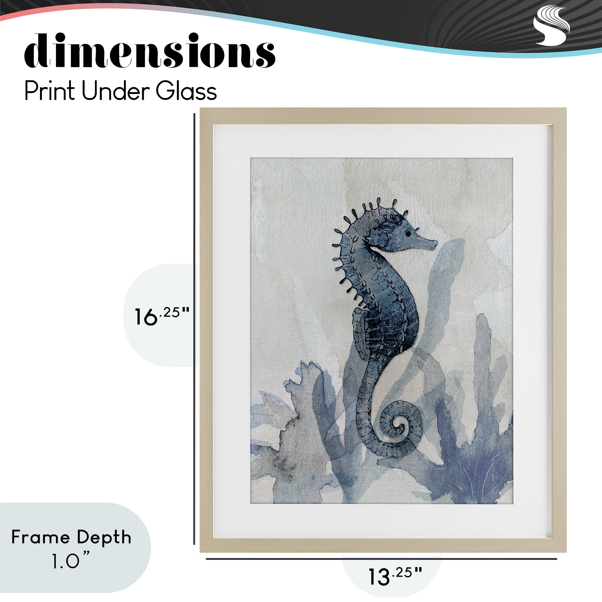 Stupell Industries Seahorse & Seaweed Impressions Birch Framed Print Under Glass, design by Susan Jill