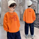 thumbnail image 1 of Sudadera informal de otoño para niños, camiseta de manga larga para Primavera/otoño, Top para niños medianos/grandes, sudaderas con capucha para niños 2024, 1 of 5