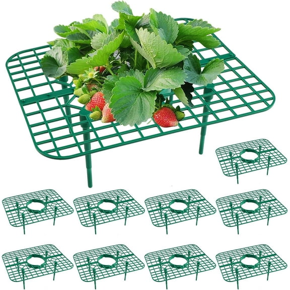 10 Pack Strawberry Plant Support, Strawberry Planting Stand, Keeping Strawberry Plants Clean, Strawberry Growing Racks, Strawberry Growing Frame