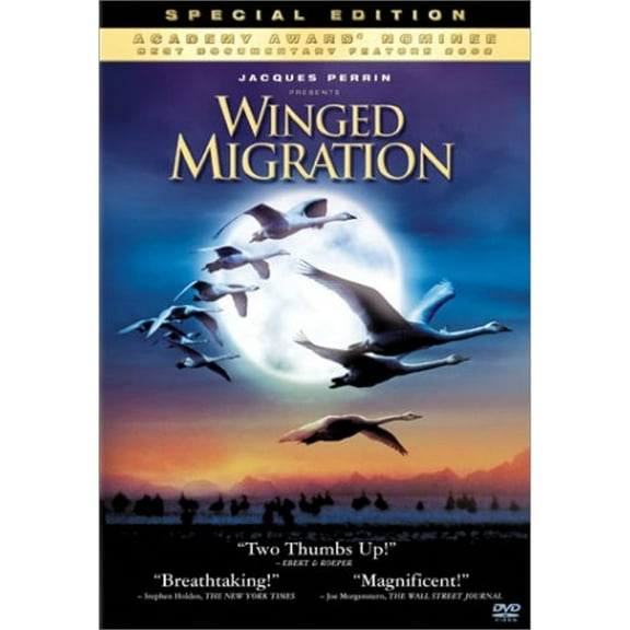 Winged Migration