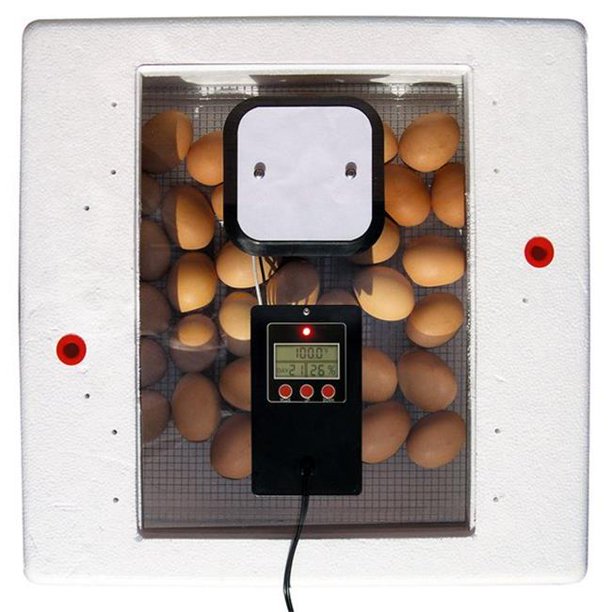 Farm Innovators 366050227 2250 Digital Circulated Air Incubator