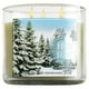 thumbnail image 1 of Bálsamo fresco Candle Bath & Body Works, 3 mechas, 1 of 1