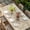Beige, variant on Japanese Table Cloths for 6 Foot Rectangle Tables, Green Rustic Retro Pastoral Floral Leaves Patio Waterproof Elastic Fitted Tablecloths, Washable Rectangular Table Cover for Camping