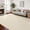 White, variant on Area Rug for Hallways 3x10 Feet Brown Washable Kitchen Runner Non Slip Hall Runners Entryway Runner Rugs Floor Carpet for Indoor Backdoor Bedroom Kitchen