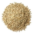 thumbnail image 2 of Rye Berries, 5 Pounds – Whole Grain Powerhouse for Bread, Sourdough, Porridge, and Granola. Rich in Fiber and Nutrients. Raw, Unprocessed, Vegan, Kosher, Seeds in Bulk, 2 of 7