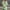 Green, variant on Xysaqa Women's Swimsuit Cover Up Shirt Dress, Women Button Up V-Neck Linen Tank Dress Bikini Beachwear Bathing Suit Beach Dresses S-XXL