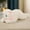 Wihte, variant on P Cat Stuffed Animal White Cat Realistic Toy Super Soft Kitten Cuddly Pet Fluffy Soothing Hugging Sleeping Birthday Christmas Children's Day Gift for Kid 14.96"