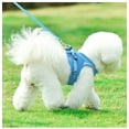 thumbnail image 3 of Yidarton New Dog Chest Strap Vest Dog Leash Reflective Breathable Dog Rope Pet Supplies, 3 of 11