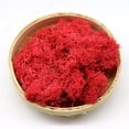 thumbnail image 2 of HCTSHG Fake Moss Preserved Reindeer Moss 10g for Potted Plants, Arts and Crafts, Terrariums, Wall Decor, Centerpieces, Fairy Gardens, Wedding, Floral Project, 2 of 6