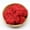 Bright Red, variant on 10g Pack Red Preserved Moss - Natural Immortal Dry Moss for Artificial Plants, Floral Arrangements, Wedding & Garden Crafts (Green)