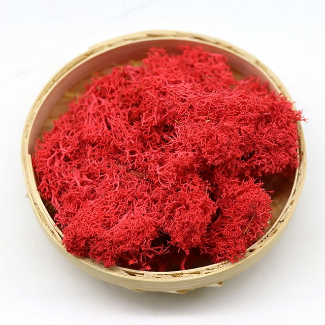 Preserved Dried Moss for Diy Terrarium Fairy Garden, Natural Artificial Moss Bulk for Wedding Table Centerpiece, No-Maintenance Green Filler for Crafts Home Decor, 1 Pack of 10G Artificial Moss