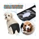 thumbnail image 3 of 3 pañales para perros con 9 almohadillas de algodón Pantalones protectores lavables para perras Pantalones protectores lavables, 3 of 5