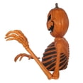 thumbnail image 4 of Decoración Way To Celebrate Esqueleto de Calabaza 1 M, 4 of 4