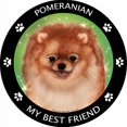 thumbnail image 2 of Pomeranian My Best Friend Magnet, 2 of 3