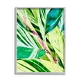 thumbnail image 5 of Stupell Industries Tropical House Plant Leaves Close Up Photography Photograph Gray Framed Art Print Wall Art, Design by Gail Peck, 5 of 5