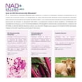 thumbnail image 4 of NAD+ NR Complex Eternal Nutrition 100 Cápsulas 1200 mg, 4 of 7