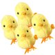 thumbnail image 3 of 4 piezas terminan los pollos de los pollos con los juguetes que saltan a los pollos saltando de los juguetes, 3 of 5