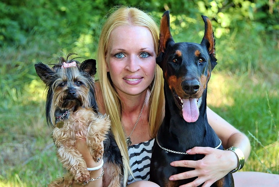 Yorkie Bullies Love Hug Doberman Blonde Woman12 Inch BY 18 Inch