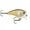 Rock Solid, variant on Balsa Xtreme Brat Hard Bait Lure