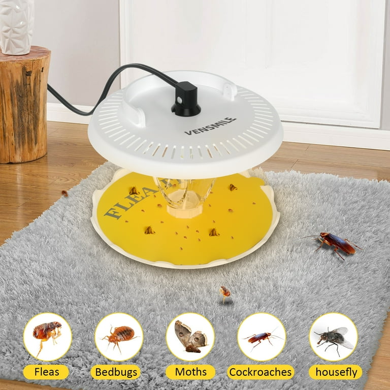 Natural fly killer trap sale