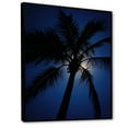 thumbnail image 2 of Designart "Midnight Serenity With Sapphire Solitude Palm" Palms & Palm Trees Floater Framed Wall Decor, 2 of 5