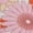 Pink, variant on Women’s Flare Pants High Waisted Casual Printed Pants Wide Leg Pants Bell Bottom Long Pants