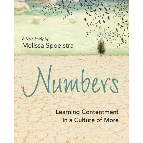 Pre-Owned Numbers - Women's Bible Study Participant Workbook: Learning Contentment in a Culture of More (Paperback) 1501801740 9781501801747