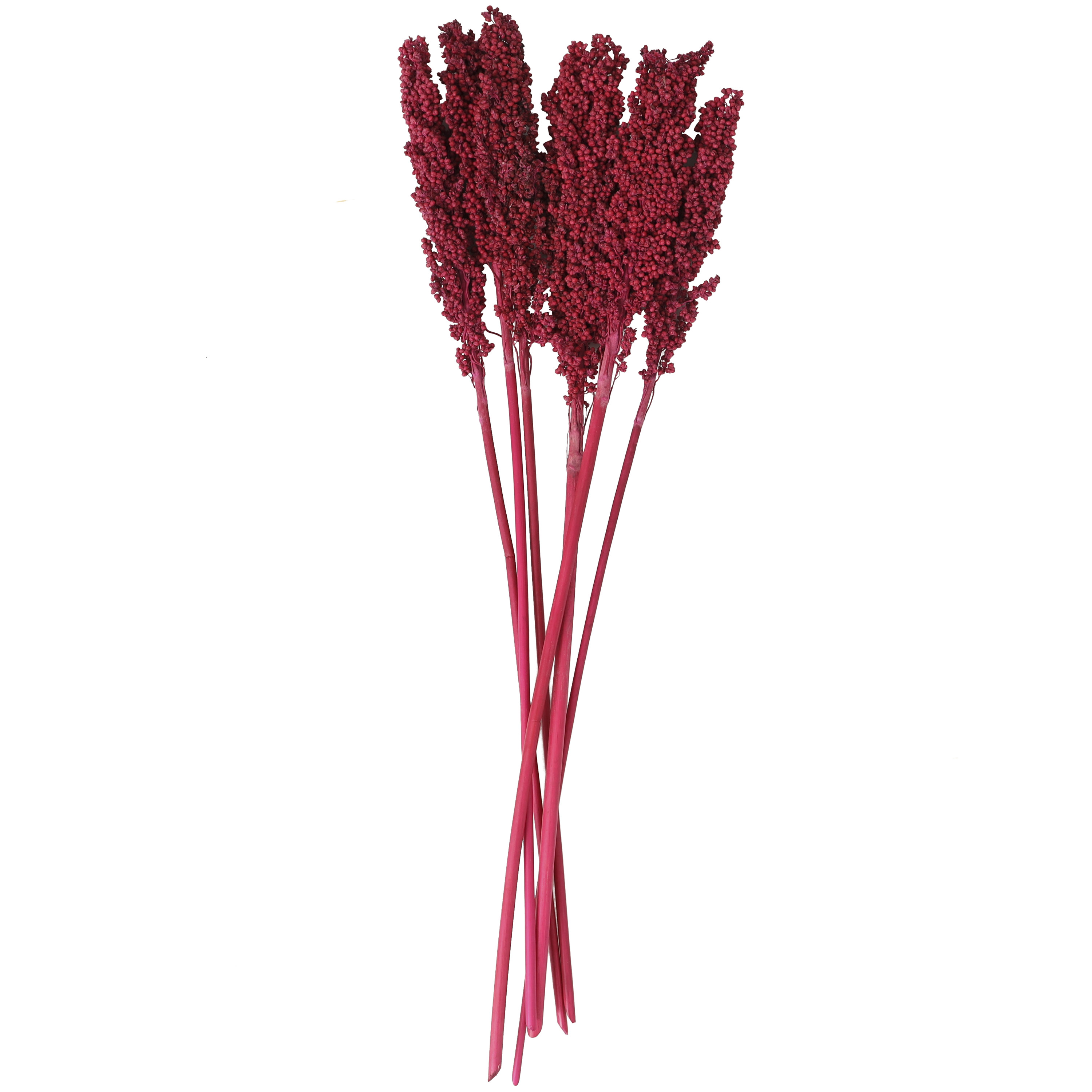 30" Dried Plant Natural Foliage Corn Maze Bouquet with Long Stems, by DecMode