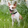 thumbnail image 2 of Pet Anti-Loss Locator Tracking Device for Dogs Cats ABS Material Lightweight Durable Indoor Outdoor Use, 2 of 4