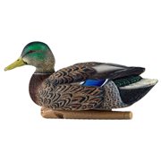 Avian X Topflight Mallard Duck, 6 Pack, Early Season Teal Decoys, 6 Pack