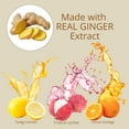 thumbnail image 3 of Assorted Fruity Ginger Hard Candy 11 Oz 2 Pack, Sweet & Spicy Treats for Nausea Digestion Gift Bags, 3 of 7