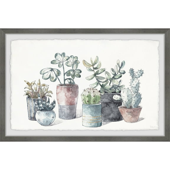 Parvez Taj Succulent in Display Planters Framed Painting Print