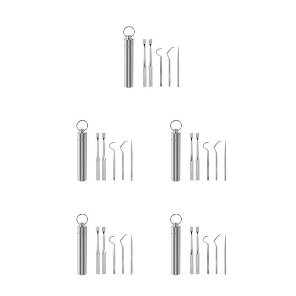 Matsuzay Palillo de Limpieza de de viaje Selección Barbacoa Fruta Tenedor Reutilizable Lavable Multifuncional Flosser Type2 NO2