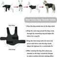 thumbnail image 4 of GASTROPOD 2026 New Dog Anxiety Jacket,Skin-Friendly Dog Calming Shirt - Dog Coat for Thunder and Separation - Keep Pet Calm Without Medicine & Training,Anti Anxiety Vest for Dogs (Dark Grey,Xl), 4 of 4