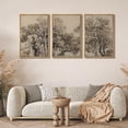 thumbnail image 4 of IDEA4WALL Framed Canvas Print Wall Art Set of 3 Vintage Aged Tree Ancestral Grove Illustrations Nature Wilderness Forest Prints Wall Decor Retro Minimal Artwork For Home Decor - Natural 24"x36"x3, 4 of 5