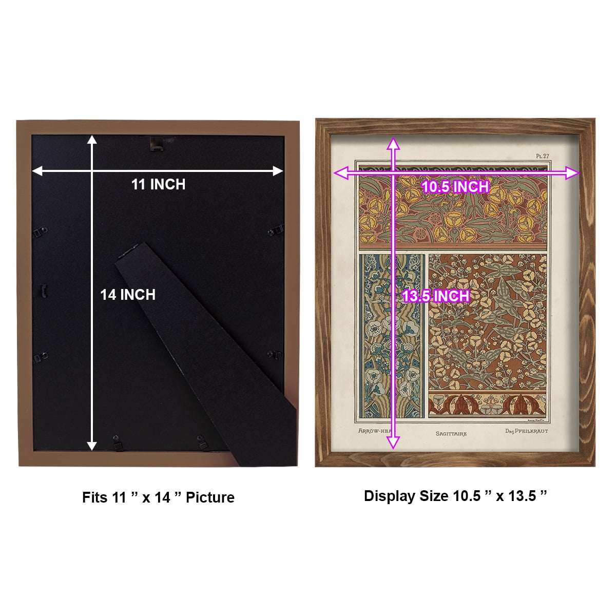Nouveau Decorative II - Framed Print w/glass - Walnut