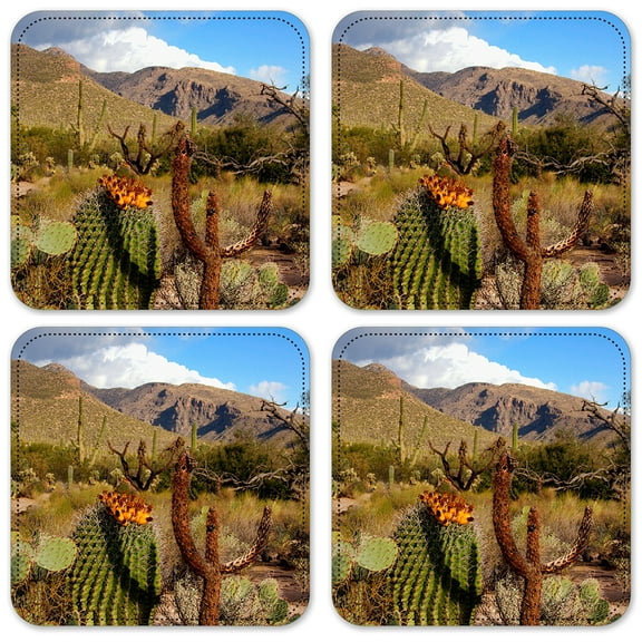 Vinyl Drink Coasters - Set of 4 - Desert Cactus