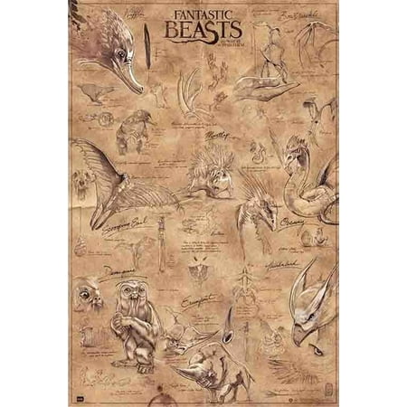- Fantastic Beasts And Where To Find Them - Movie Poster / Print (The Beasts) (Size: 24