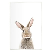 Stupell Industries Rabbit Face Portrait Animals & Insects Painting Unframed Art Print Wall Art, 10 x 15