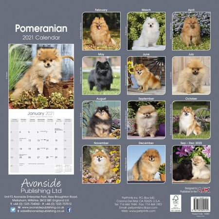 Pomeranian Calendar 2021-2022 - Dog Breed Monthly Wall Calendar - Made In USA - 12' x 24' (Open)