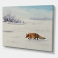 thumbnail image 3 of Designart ' Red Fox Running In White Snow in Countryside I ' Farmhouse Canvas Wall Art Print, 3 of 4