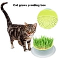 thumbnail image 3 of Reusable Cat Grass Planting Box Grass Planting Box Reusable Hydroponic Cat Grass Planter Cat Grass Planter Box, 3 of 8
