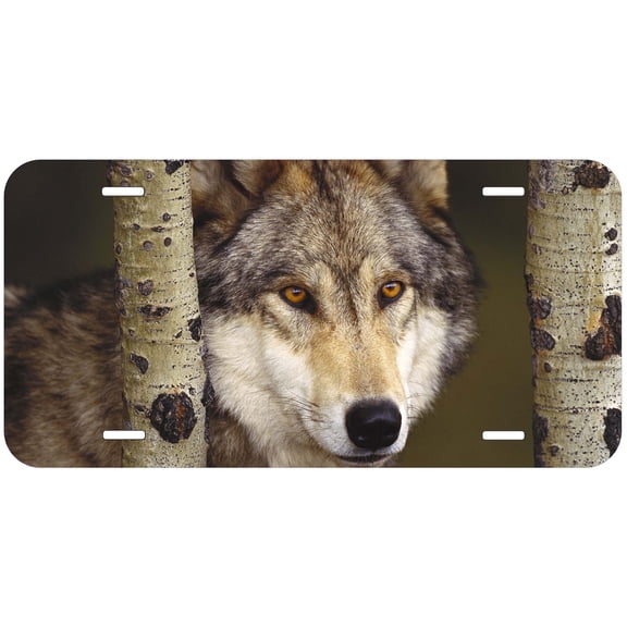 Wolf TAG09 Novelty Car Auto License Plate