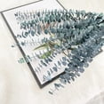 thumbnail image 2 of Paquete de 10 Eucaliptos Secos Naturales, Ramas de Eucalipto Frescas Conservadas para Arreglos Florales Bodas DecoracióN del Hogar, 2 of 5