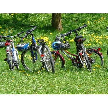 LAMINATED POSTER Bike Bicycles Bike Ride Family Outing Cycle Poster Print 24 x (Best Cargo Bike For Family)
