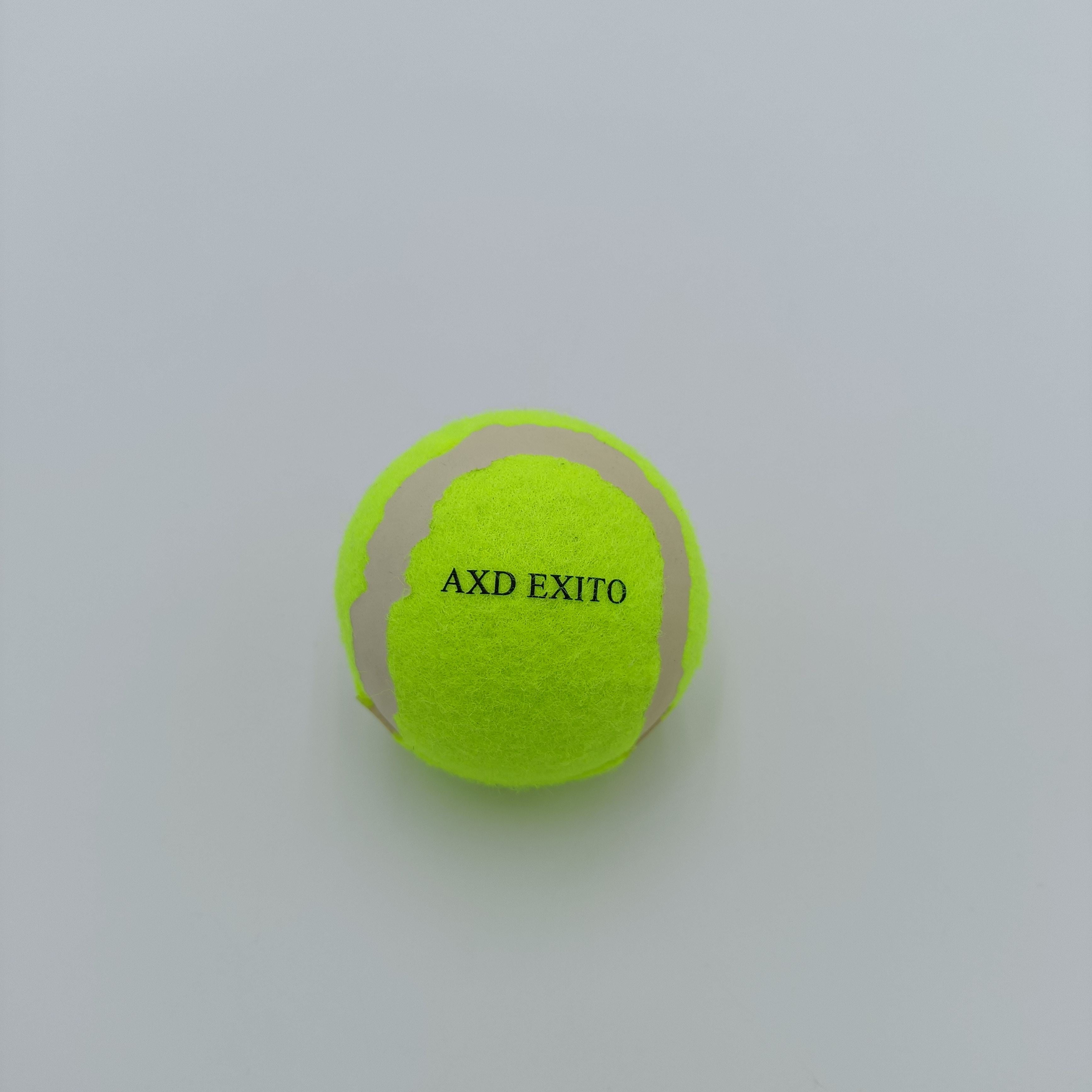 wilson - HighBall Wilson Championship High Altitude Tennis Balls, 3 Ball Can