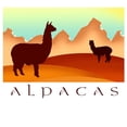 thumbnail image 3 of CafePress - Alpaca & Llama Shop Long Sleeve T Shirt - Unisex Cotton Long Sleeve T-Shirt, 3 of 4