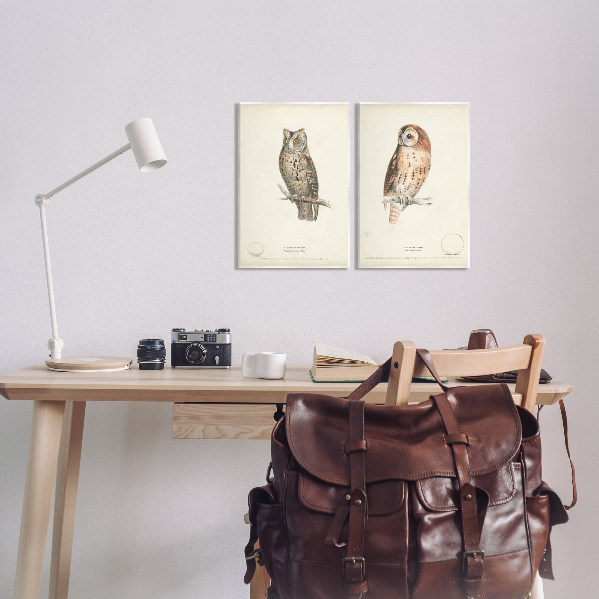 Stupell Industries Owl Breeds Latin Study Page Detailed Bird Animal Graphic Art Unframed Art Print Wall Art, Set of 2, Design by H. L. Meyer